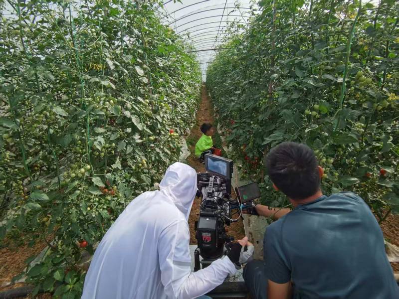 松北区产品宣传视频拍摄公司进阶指南，助力品牌抢占传播高地